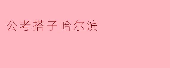 在哈尔滨参加公考时,如何找到合适的搭子一起复习?****