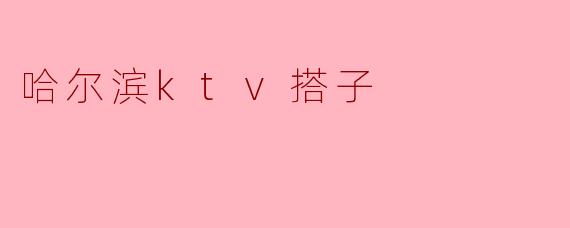 ### 哈尔滨KTV搭子的魅力与乐趣