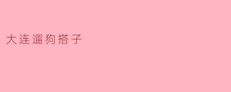 大连遛狗搭子是什么？