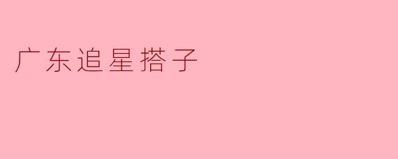 广东追星搭子