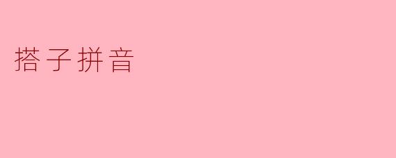 搭子拼音