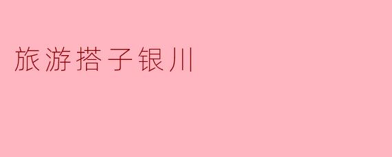 旅游搭子银川