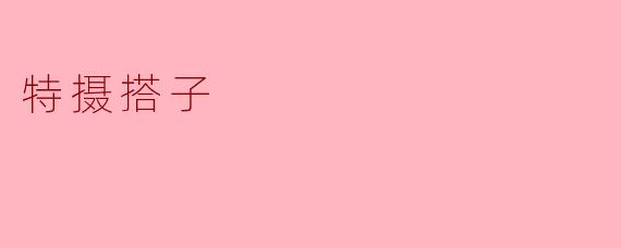 特摄搭子