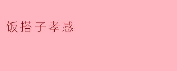 饭搭子孝感:美食与情感的完美结合