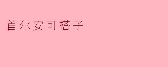 首尔安可搭子
