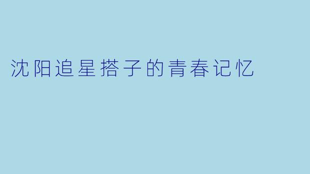 沈阳追星搭子的青春记忆