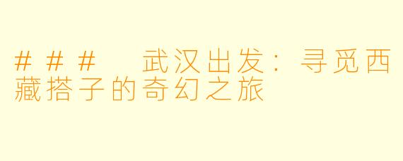 ### 武汉出发：寻觅西藏搭子的奇幻之旅