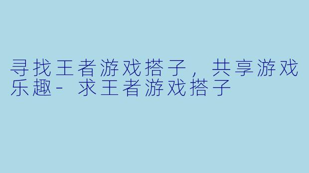 寻找王者游戏搭子，共享游戏乐趣-求王者游戏搭子