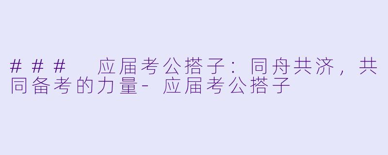 ### 应届考公搭子：同舟共济，共同备考的力量-应届考公搭子
