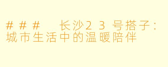 ### 长沙23号搭子：城市生活中的温暖陪伴