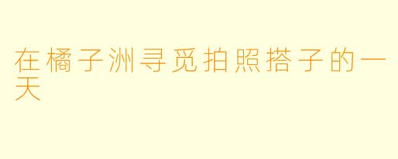 在橘子洲寻觅拍照搭子的一天