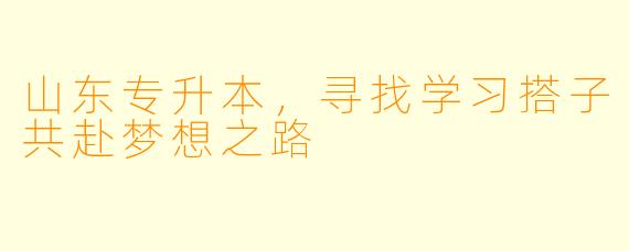 山东专升本,寻找学习搭子共赴梦想之路