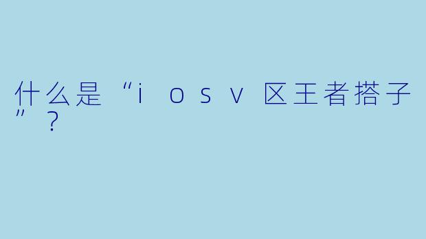 什么是“iosv区王者搭子”？  