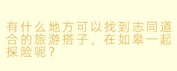 有什么地方可以找到志同道合的旅游搭子,在如皋一起探险呢?