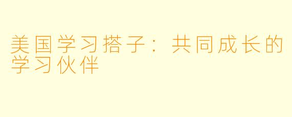 美国学习搭子：共同成长的学习伙伴