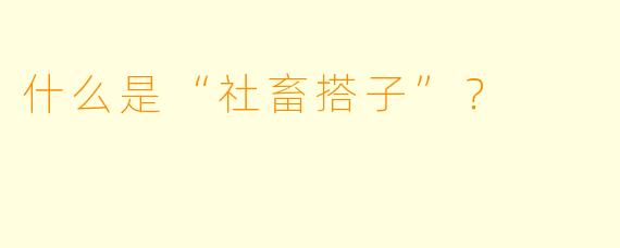 什么是“社畜搭子”？  