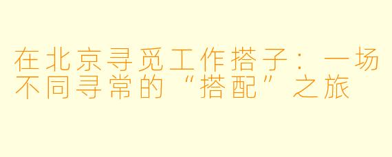 在北京寻觅工作搭子：一场不同寻常的“搭配”之旅
