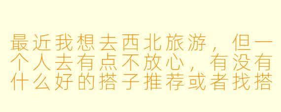 最近我想去西北旅游,但一个人去有点不放心,有没有什么好的搭子推荐或者找搭子的方式?****