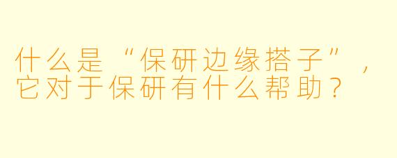 什么是“保研边缘搭子”,它对于保研有什么帮助?