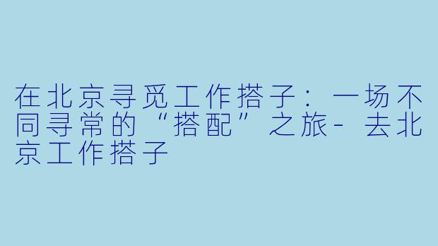 在北京寻觅工作搭子:一场不同寻常的“搭配”之旅