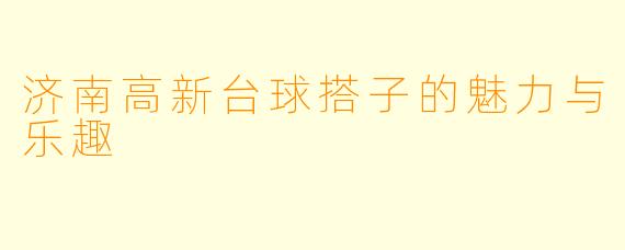 济南高新台球搭子的魅力与乐趣