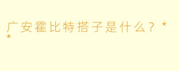 广安霍比特搭子是什么？**