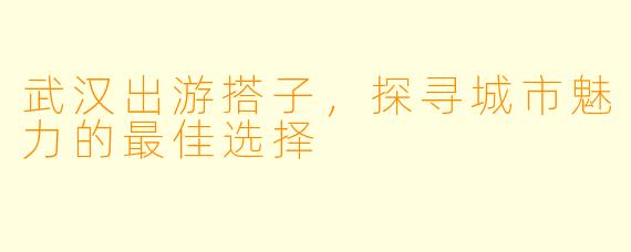 武汉出游搭子,探寻城市魅力的最佳选择