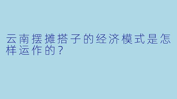 云南摆摊搭子的经济模式是怎样运作的？  