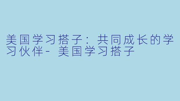 美国学习搭子：共同成长的学习伙伴-美国学习搭子