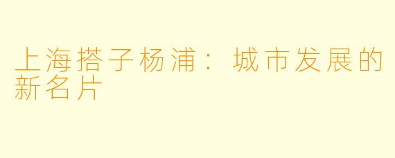 上海搭子杨浦：城市发展的新名片