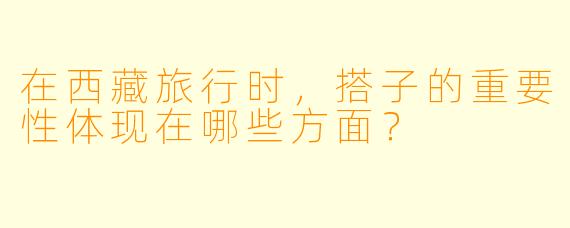 在西藏旅行时，搭子的重要性体现在哪些方面？
