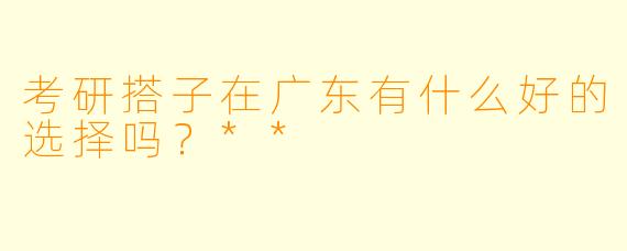 考研搭子在广东有什么好的选择吗?**