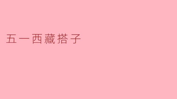 五一西藏搭子