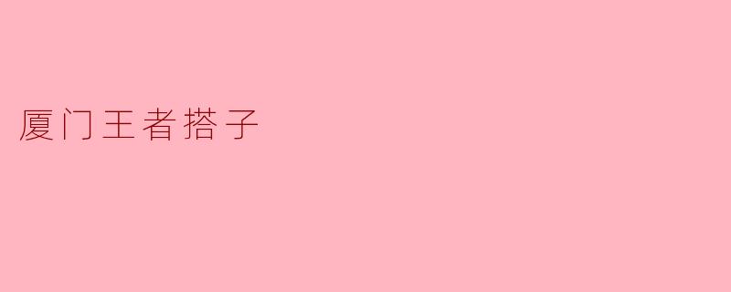 厦门王者搭子