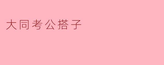 大同考公搭子是什么？****