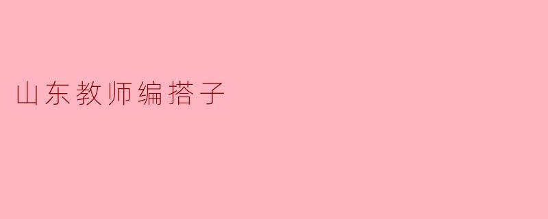 山东教师编搭子