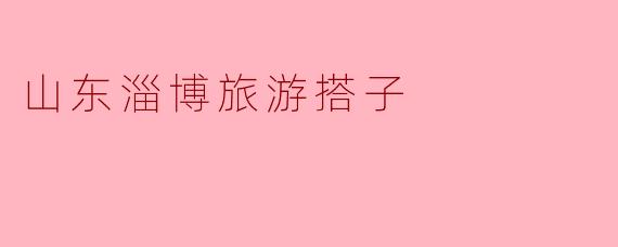 山东淄博旅游搭子
