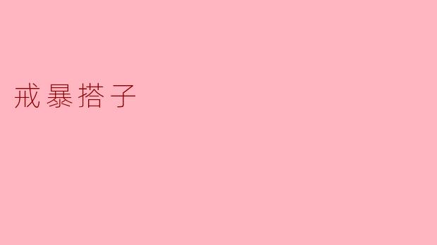 戒暴搭子