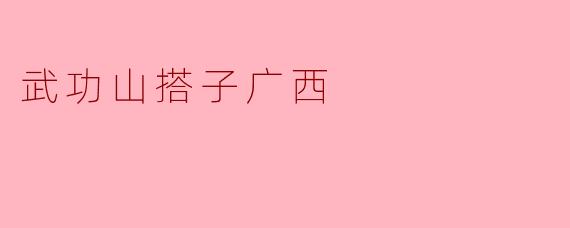 武功山搭子广西