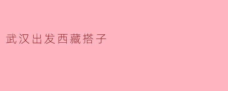 ### 武汉出发:寻觅西藏搭子的奇幻之旅