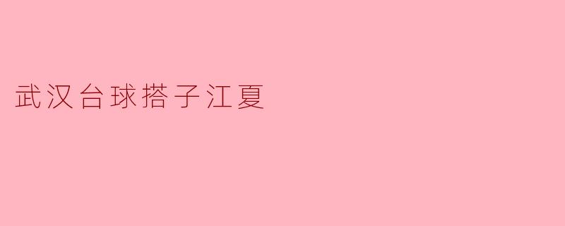 武汉台球搭子江夏