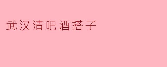 武汉清吧酒搭子:夜生活中的温暖陪伴