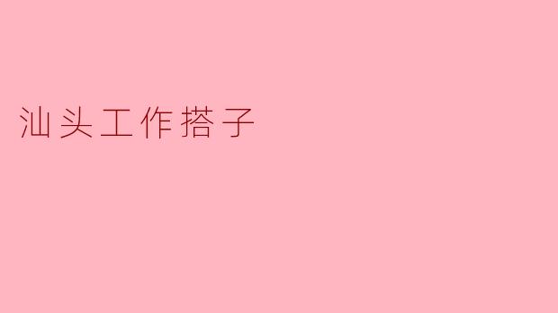 汕头工作搭子