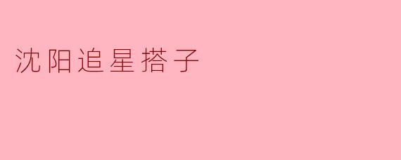 沈阳追星搭子的青春记忆