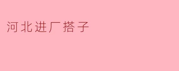 河北进厂搭子：助力产业发展的新模式