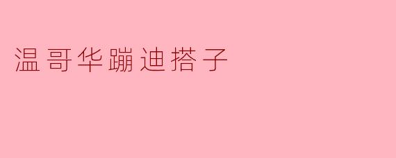 ### 温哥华的蹦迪搭子:寻找夜生活的灵魂伴侣