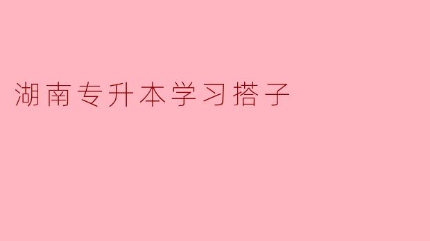 湖南专升本学习搭子