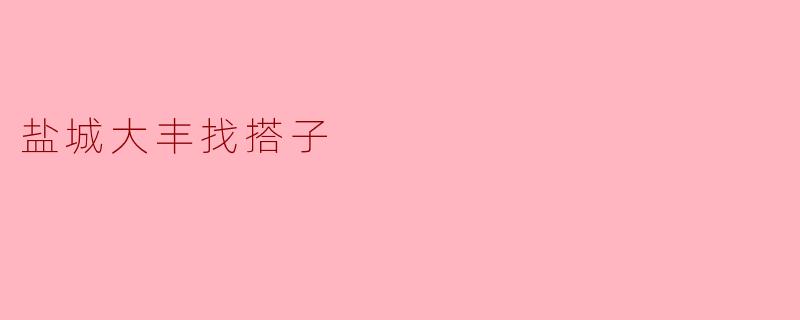 盐城大丰哪里可以找搭子一起玩儿？****
