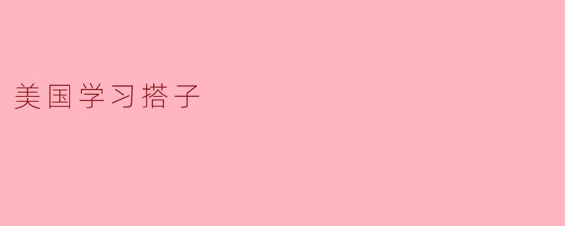 美国学习搭子