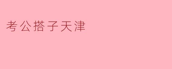 考公搭子天津